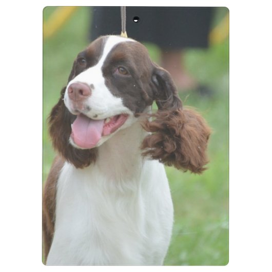 Cute Springer Spaniel Klembord (Achterkant)