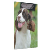Cute Springer Spaniel Klembord (Rechts)