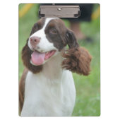 Cute Springer Spaniel Klembord (Voorkant)