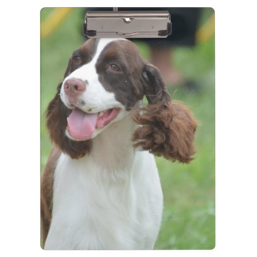 Cute Springer Spaniel Klembord (Voorkant)