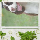 Cute Springer Spaniel Theedoek (Gevouwen)