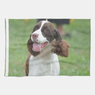 Cute Springer Spaniel Theedoek