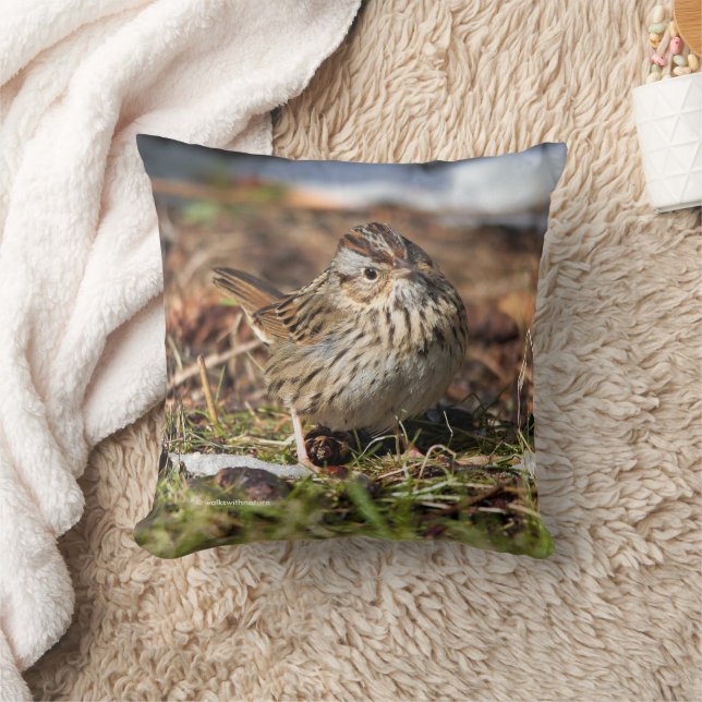 Cute Spunky Lincoln's Sparrow Songbird in Grass Kussen (Deken)