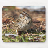 Cute Spunky Lincoln's Sparrow Songbird Muismat (Voorkant)