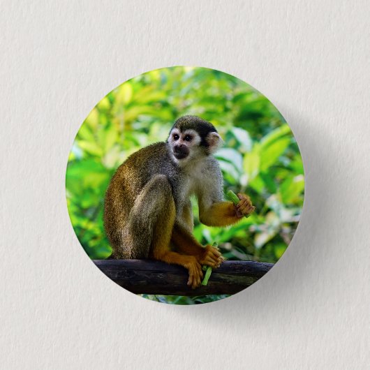 Cute squirrel aap ronde button 3,2 cm (Voorkant)