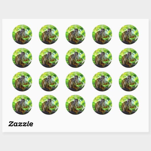 Cute squirrel aap ronde sticker (Vel)
