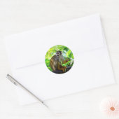 Cute squirrel aap ronde sticker (Envelop)