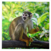 Cute squirrel aap tegeltje (Voorkant)