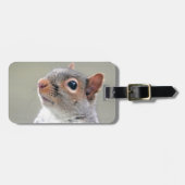 Cute Squirrel Bagagelabel (Voorkant horizontaal)