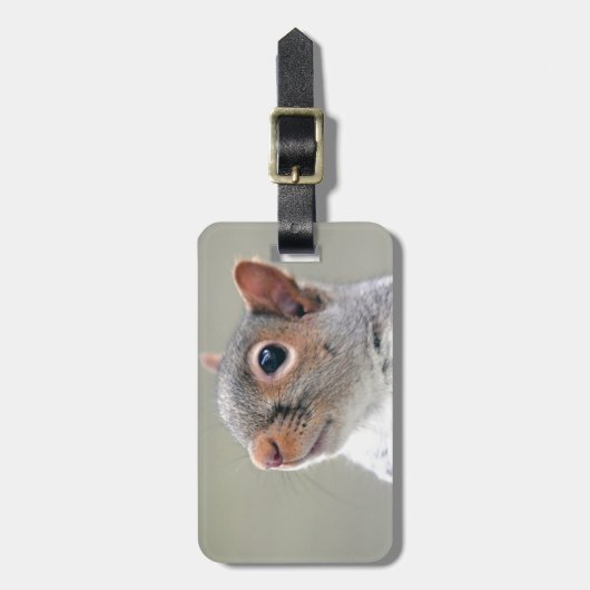 Cute Squirrel Bagagelabel (Voorkant verticaal)