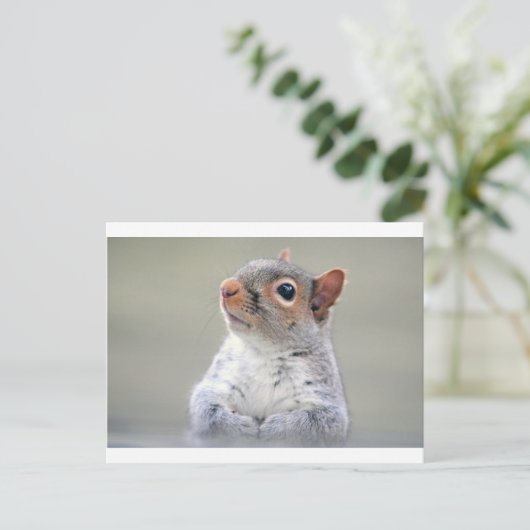 Cute Squirrel Briefkaart (Staand voorkant)