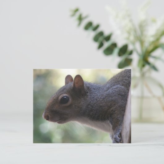 Cute Squirrel Briefkaart (Staand voorkant)