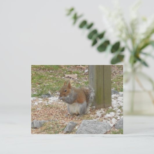 Cute Squirrel Briefkaart (Staand voorkant)