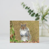 Cute Squirrel Briefkaart (Staand voorkant)
