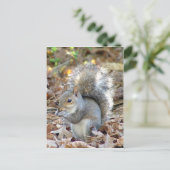 Cute Squirrel Briefkaart (Staand voorkant)