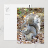 Cute Squirrel Briefkaart (Voorkant / Achterkant)