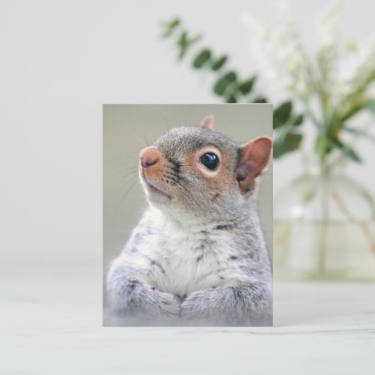 Cute Squirrel Briefkaart (Staand voorkant)
