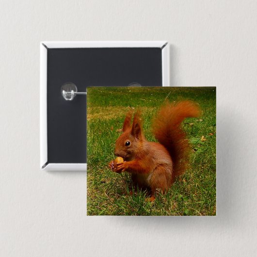Cute Squirrel Button (Voorkant /achterkant)