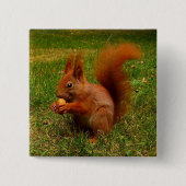 Cute Squirrel Button (Voorkant)