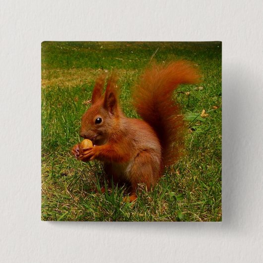 Cute Squirrel Button (Voorkant)