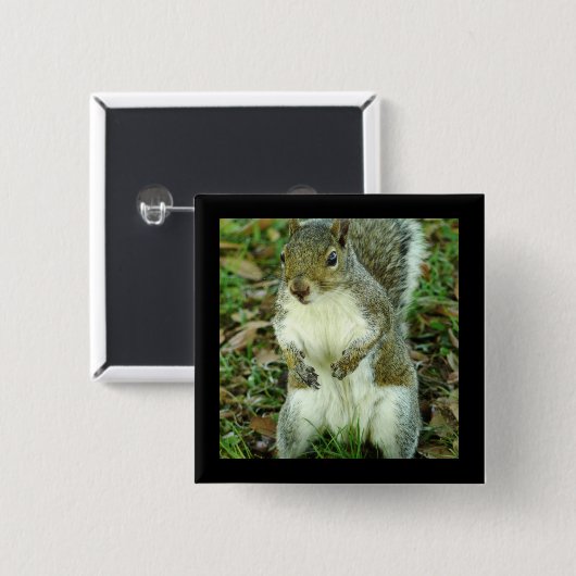 Cute Squirrel Button (Voorkant /achterkant)