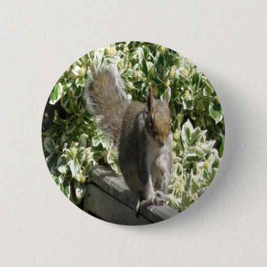 Cute Squirrel Button (Voorkant)