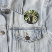 Cute Squirrel Button (In situ)