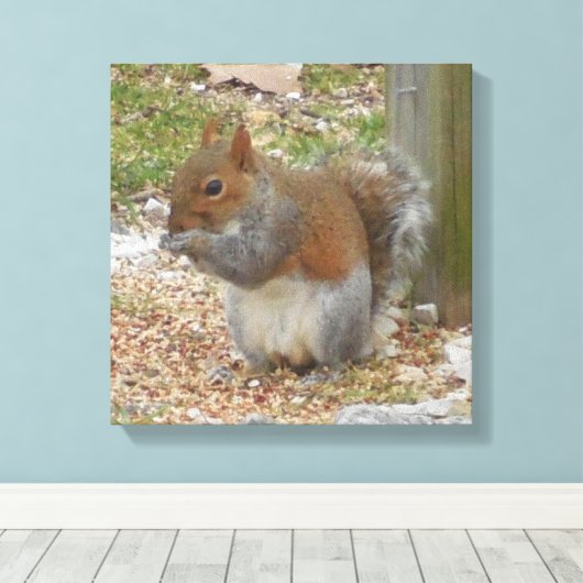 Cute Squirrel Canvas Art (Insitu (Houten vloer))