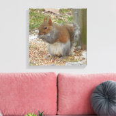 Cute Squirrel Canvas Art (Insitu (Woonkamer))