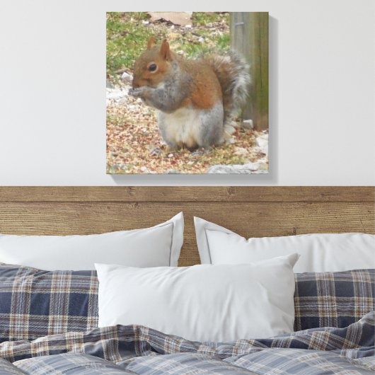 Cute Squirrel Canvas Art (Insitu (Slaapkamer))