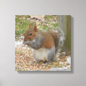 Cute Squirrel Canvas Art (Voorkant)