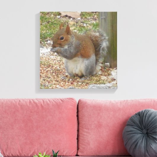 Cute Squirrel Canvas Art Afdruk (Insitu (Woonkamer))