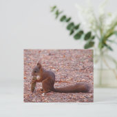 Cute Squirrel Card Briefkaart (Staand voorkant)