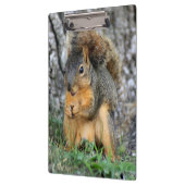 Cute Squirrel Cliboard Klembord (Links)