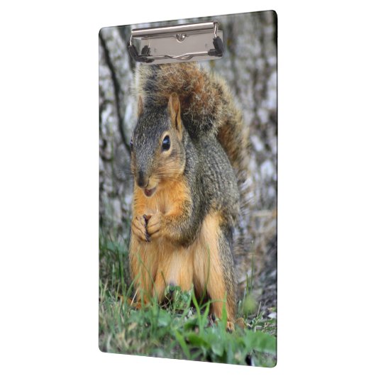Cute Squirrel Cliboard Klembord (Links)
