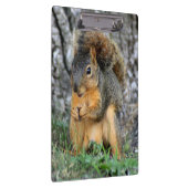 Cute Squirrel Cliboard Klembord (Rechts)