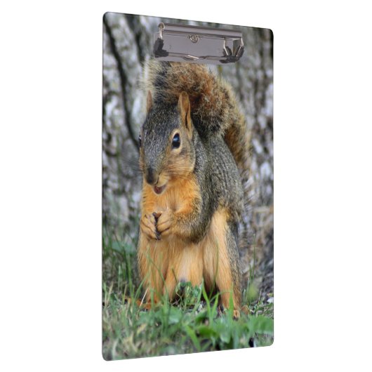 Cute Squirrel Cliboard Klembord (Rechts)