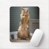 Cute Squirrel Closeup with Nut 3 Muismat (Met muis)