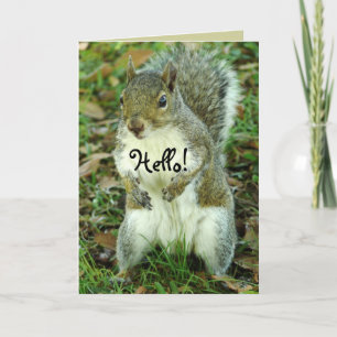 Cute Squirrel, denken aan jou Kaart