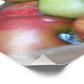 Cute Squirrel die een appel eet op een Apple Crate Foto Afdruk (Hoek)