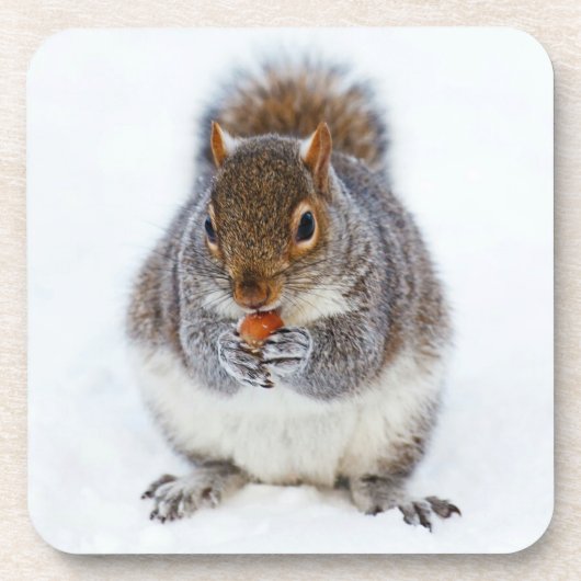 Cute Squirrel die een nut eet Bier Onderzetter (Voorkant)