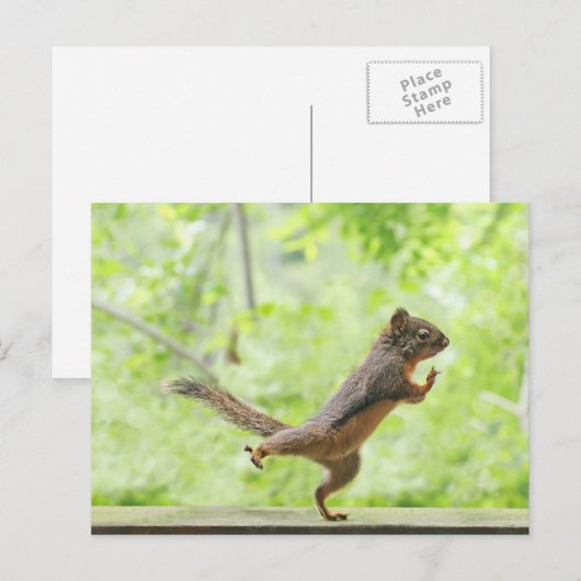Cute Squirrel Doing Tai Chi Briefkaart (Voorkant / Achterkant)