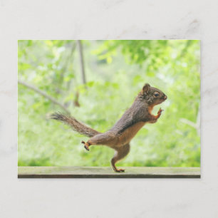 Cute Squirrel Doing Tai Chi Briefkaart