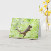 Cute Squirrel Doing Tai Chi Kaart (Gele Bloem)