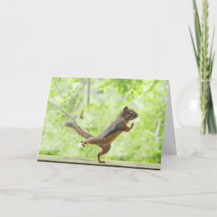Cute Squirrel Doing Tai Chi Kaart