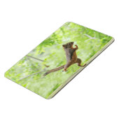 Cute Squirrel Doing Tai Chi Magneet (Linkerzijde)