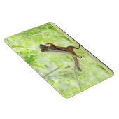 Cute Squirrel Doing Tai Chi Magneet (Rechterzijde)