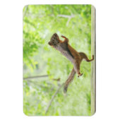 Cute Squirrel Doing Tai Chi Magneet (Verticaal)