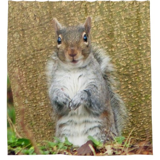 Cute Squirrel Douchegordijn (Voorkant)