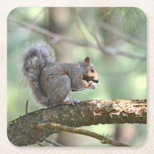 Cute Squirrel Eating Lunch Party Onderzetter